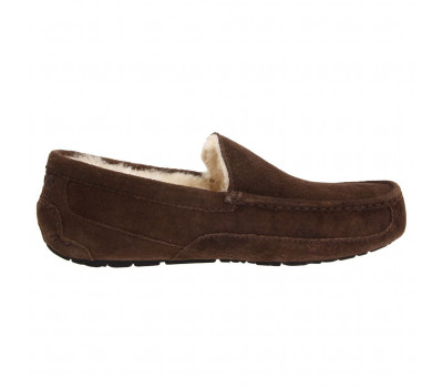 Mens Ascot Chocolate